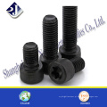 Torx mx segurança torx